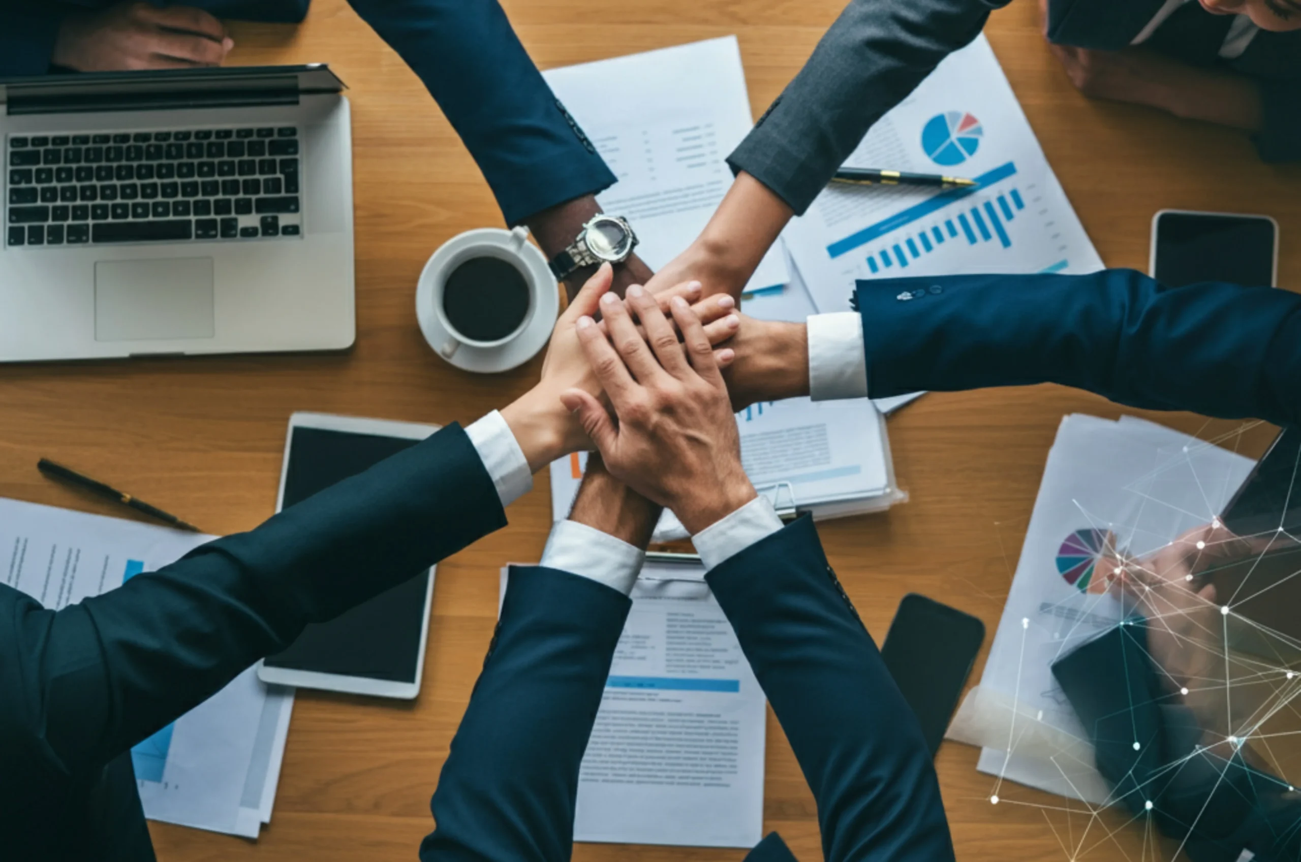 Business Setup Services